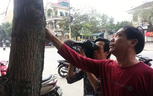 Diễn biến vụ nổ súng kinh hoàng, khiến 1 người chết, 2 người bị thương qua lời nhân chứng
