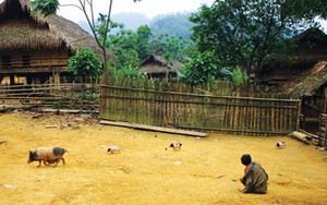 Bộ tộc suýt tuyệt chủng ở Việt Nam và những tục lệ “độc nhất vô nhị”