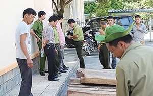 Bắt giam trạm trưởng kiểm lâm nhận hối lộ 100 triệu đồng