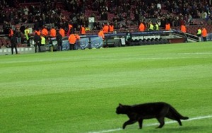 Mèo đen đại náo sân Camp Nou trong trận mở màn La Liga của Barca