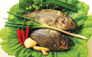 Cá rô đồng: Món ăn - bài thuốc hỗ trợ điều trị bệnh gút hiệu quả