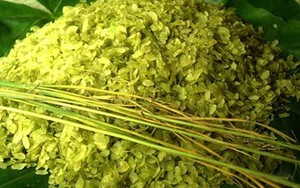 Nhuộm cốm bằng phẩm màu công nghiệp
