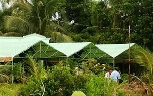 Nghịch tử thừa nhận dùng búa sát hại cha ruột rồi báo tin cho mẹ