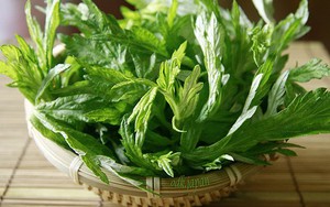 Có bệnh gì không được ăn ngải cứu?