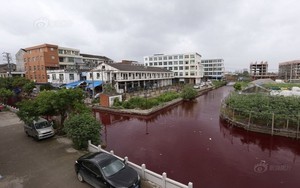 Kinh ngạc dòng sông sau một đêm thành “sông máu”