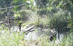 Thực hư chuyện "kho báu" chứa 1.500 kg vàng ở Đồng Tháp