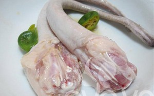 Món ăn thuốc chữa hiếm muộn