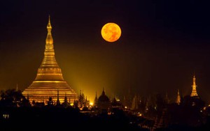 Myanmar săn lùng quả chuông khổng lồ huyền thoại