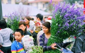 Miền Bắc bắt đầu ấm dần lên