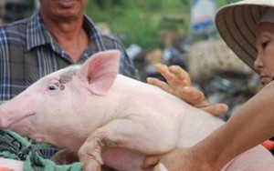 Điểm danh những nghề lạ lùng nhất Việt Nam
