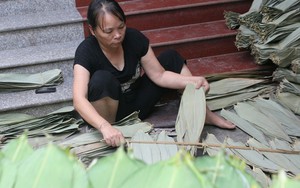 "Đút túi" hàng trăm triệu/tháng nhờ "nhặt lá tre" ở Hà Nội