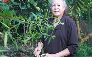 Hà Nội: Cụ ông 82 tuổi vẫn sinh con