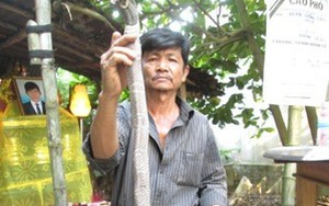 Đi chơi công viên tiện thể bắt rắn bán, bị cắn chết