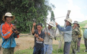 Đánh đu trên miệng tử thần