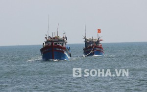 "Tàu TQ đâm chìm tàu cá VN là hành động vô nhân đạo"