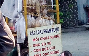"Sung dược" chốn phòng the: "Ông uống bà khen, cả xóm thèm"