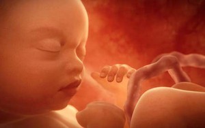Thai nhi có được chia di sản thừa kế?