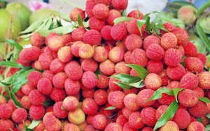 Vải Trung Quốc xuất sang Việt Nam: Sở Công thương... chưa thấy?