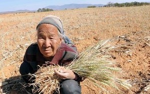 Khát nước khô họng, Trung Quốc phải cầu cứu Nga