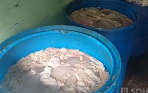 Cảnh giác khi mua lòng lợn trên thị trường