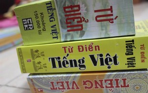 Từ điển sai: “Quá kinh khủng! Xúc phạm những người biên soạn”