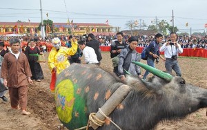 Xem vua đi cày đầu năm tại Hà Nam