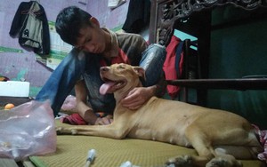 Gia cảnh nghèo túng của thanh niên cầm sổ hộ khẩu chữa bệnh cho chó