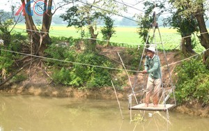 Cầu “độc” vùng quê
