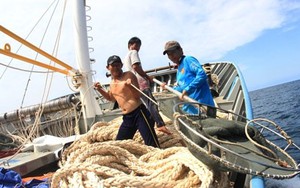 Một tuần đánh cá giữa Hoàng Sa cùng "ngư dân VIP"