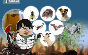 Những con vật bỗng dưng "nổi như cồn" trong năm 2015