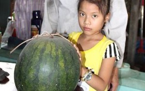 Dưa hấu chưng hơn 6 tháng vẫn xanh