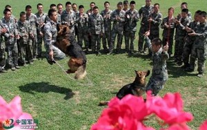 Binh sĩ Trung Quốc được trang bị giày "công nghệ cao"