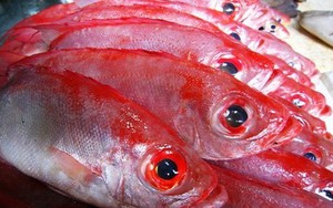 Cách nhận biết hải sản tẩm urê