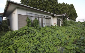 Chùm ảnh gây sốc về Fukushima gần 5 năm sau thảm họa sóng thần lịch sử