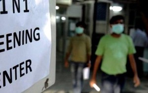 Dịch cúm gia cầm H7N9, cúm lợn H1N1 bùng phát mạnh ở nhiều nơi