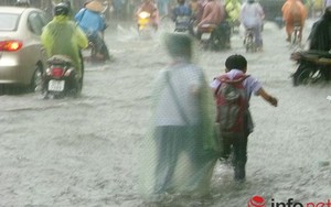 Thư gửi các vị lãnh đạo Đà Nẵng sắp đi công cán nước ngoài!