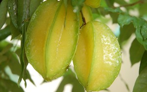 Các mẹo hay với khế ít người biết
