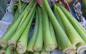 Món ăn thuốc từ dọc mùng