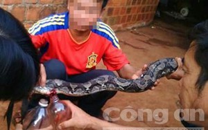 Ăn thịt, uống tiết canh con nưa, 12 người trong thôn ngộ độc
