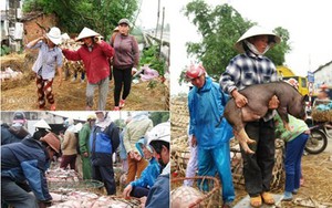 Mưu sinh bằng nghề... bế “Thiên Bồng Nguyên Soái”