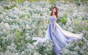 Nữ sinh mơ màng giữa cánh đồng lưu ly tuyệt đẹp