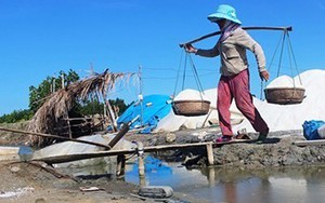 Một tạ muối đổi được... 2 tô bún