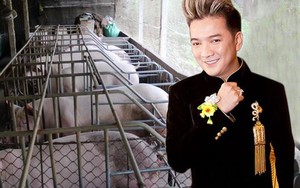 Mr Đàm nói về vụ "lợn nghe nhạc Đàm Vĩnh Hưng"