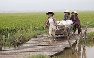 Phim "Vòng eo 56" của Ngọc Trinh bị tố "thiếu trung thực"