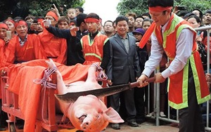 Tiếp tục tổ chức lễ hội chém lợn phản cảm?