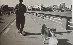 Chuyện chú chó trung thành và người chủ mù gây xúc động