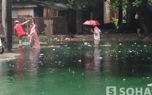 Tìm ra "thủ phạm" khiến nước ngập chuyển màu xanh tại HN