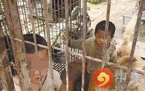 2 anh em bị nhốt trong cũi, sống chung với đàn chó