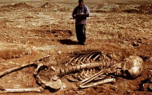 Những bộ xương khổng lồ gây tranh cãi nhất trong lịch sử