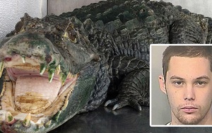 Tên trộm vừa thoát được cảnh sát thì bị cá sấu ăn thịt